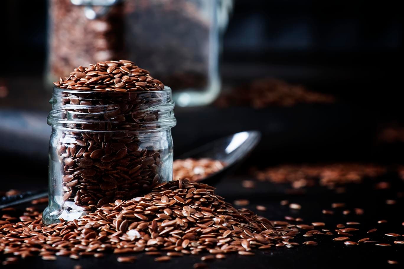 Flax seeds: The Nutritional Powerhouse Flax seeds: The Nutritional Powerhouse